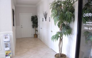 white hall way with palm tree